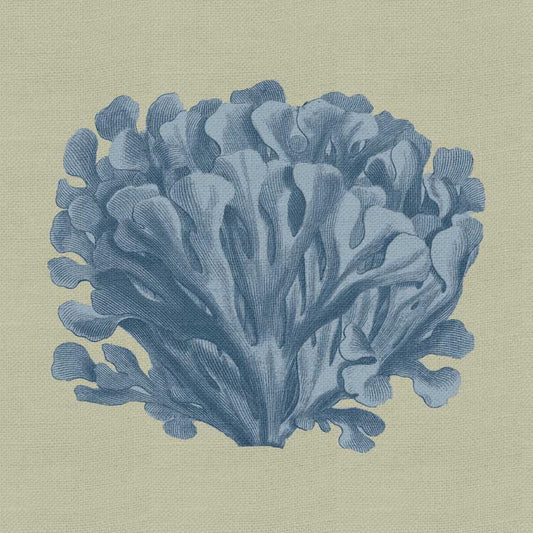 Image Only