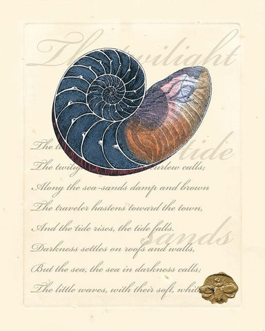 Romance of the Shell I White Modern Wood Framed Art Print with Double Matting by Vision Studio