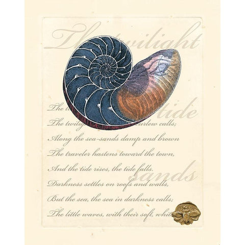 Romance of the Shell I White Modern Wood Framed Art Print by Vision Studio