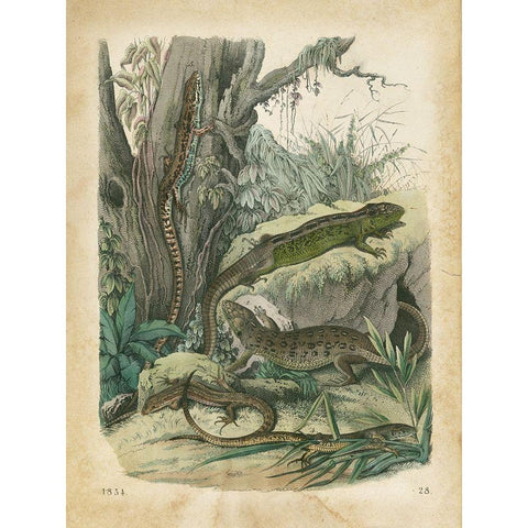 Natures Gathering V Black Modern Wood Framed Art Print with Double Matting by Wiek, John