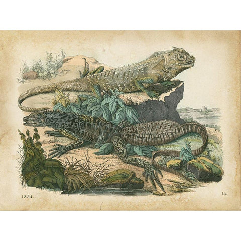 Natures Gathering VI Black Modern Wood Framed Art Print with Double Matting by Wiek, John