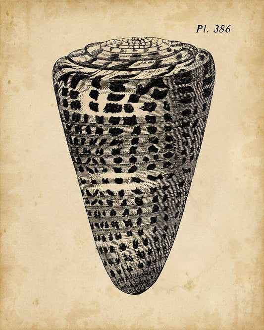 Image Only