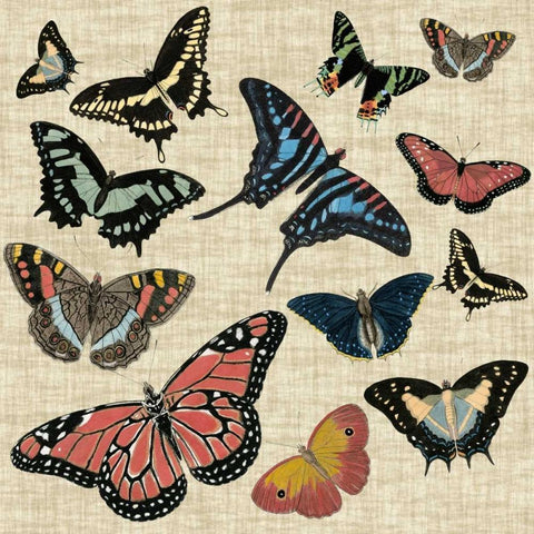 Butterflies and Linen I White Modern Wood Framed Art Print by Vision Studio