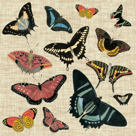 Butterflies and Linen II White Modern Wood Framed Art Print with Double Matting by Vision Studio