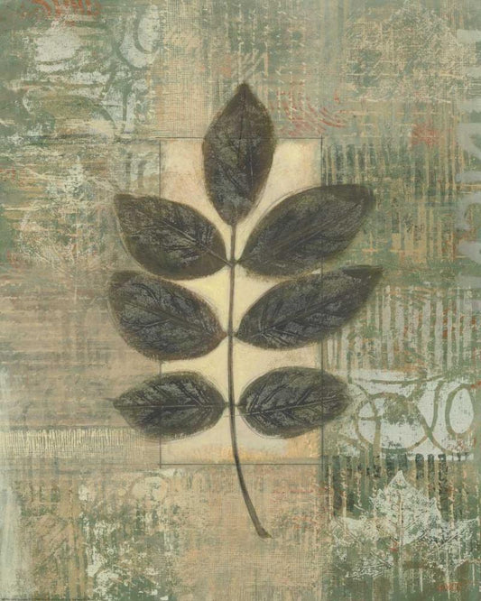 Image Only