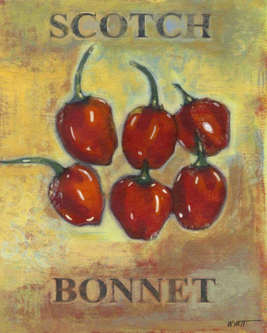 Scotch Bonnet White Modern Wood Framed Art Print with Double Matting by Wyatt Jr., Norman