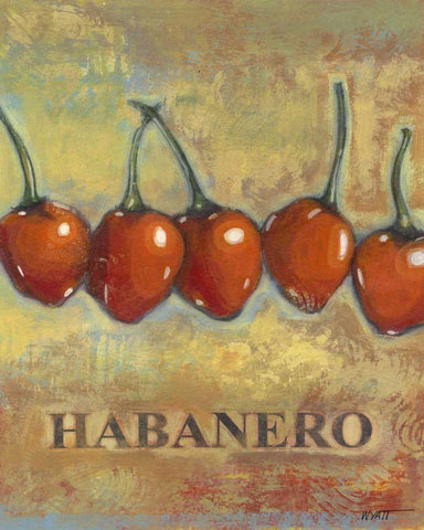 Habanero White Modern Wood Framed Art Print with Double Matting by Wyatt Jr., Norman