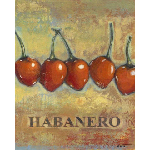 Habanero Black Modern Wood Framed Art Print with Double Matting by Wyatt Jr., Norman