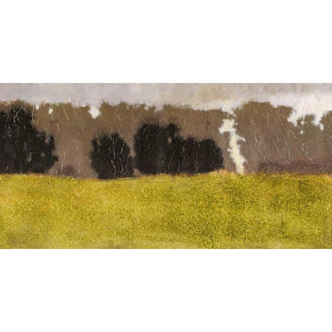 Tuscan Field I Black Modern Wood Framed Art Print with Double Matting by Vision Studio