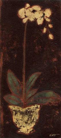 Gilded Orchid I Black Ornate Wood Framed Art Print with Double Matting by Wyatt Jr., Norman