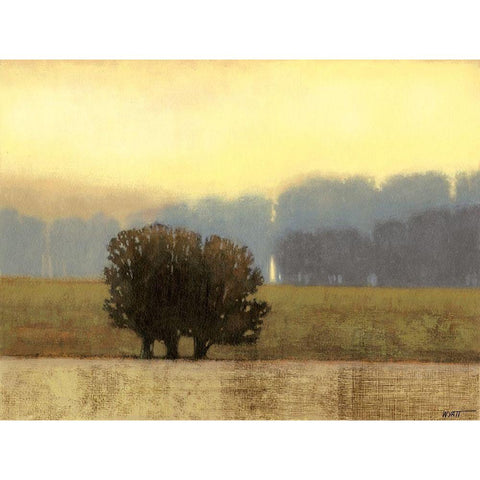 Villa Park I White Modern Wood Framed Art Print by Wyatt Jr., Norman