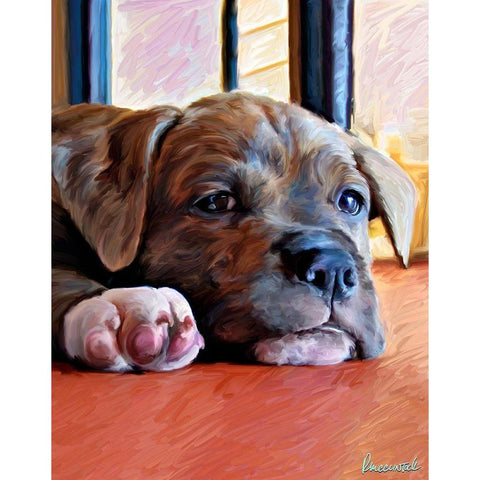 Kratos Baby Pit Bull Black Modern Wood Framed Art Print by McClintock, Robert