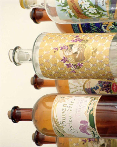 French Perfume Bottles II White Modern Wood Framed Art Print with Double Matting by Gray, Madelaine