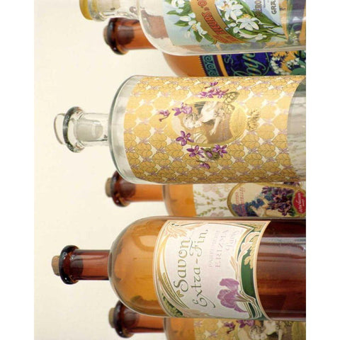 French Perfume Bottles II Black Modern Wood Framed Art Print by Gray, Madelaine