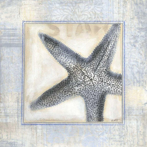 Driftwood Memories IV Black Modern Wood Framed Art Print with Double Matting by Wyatt Jr., Norman