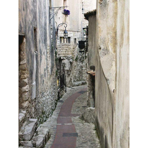 Cobbled Walkway II Black Modern Wood Framed Art Print by Perry, Rachel