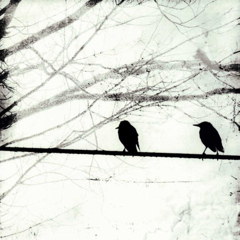 Silver Days I Black Modern Wood Framed Art Print by Blixt, Ingrid