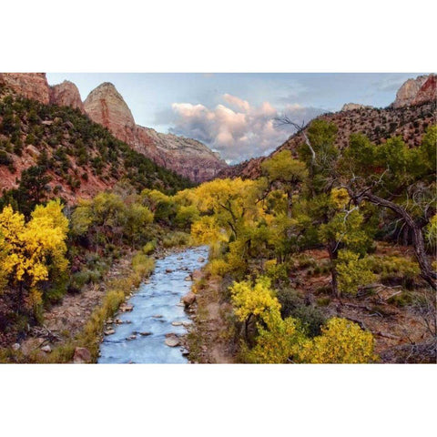 Brilliant View I Black Modern Wood Framed Art Print with Double Matting by Chester, Colby