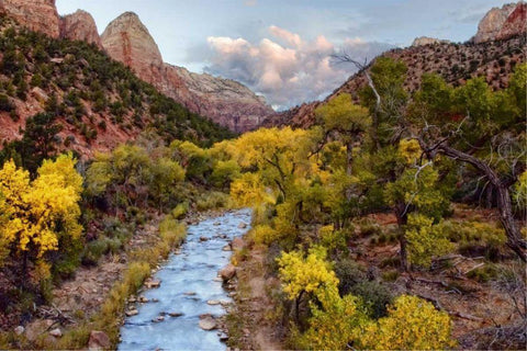 Brilliant View I White Modern Wood Framed Art Print with Double Matting by Chester, Colby