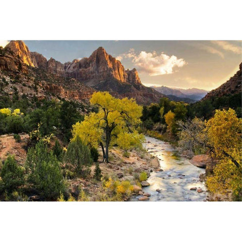 Brilliant View II Gold Ornate Wood Framed Art Print with Double Matting by Chester, Colby