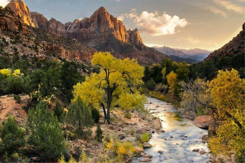 Brilliant View II Black Ornate Wood Framed Art Print with Double Matting by Chester, Colby