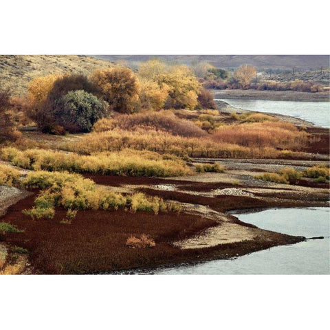 Brilliant View IV White Modern Wood Framed Art Print by Chester, Colby