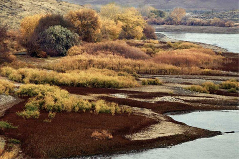 Brilliant View IV White Modern Wood Framed Art Print with Double Matting by Chester, Colby