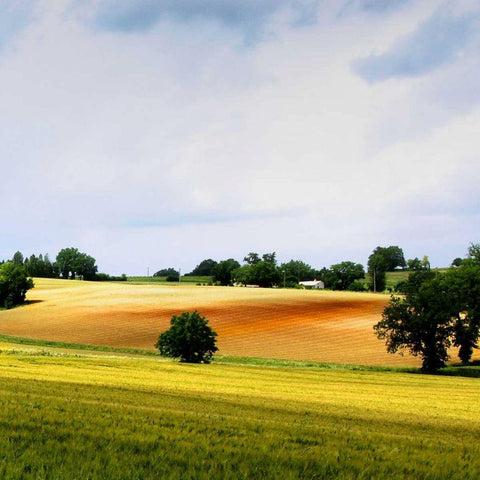 Larrissingle II White Modern Wood Framed Art Print with Double Matting by Chester, Colby