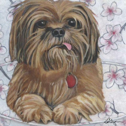 Dlynns Dogs - Cody White Modern Wood Framed Art Print by Roll, Dlynn