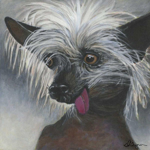 Dlynns Dogs - Poe White Modern Wood Framed Art Print with Double Matting by Roll, Dlynn