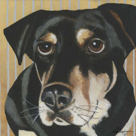 Dlynns Dogs - Ginger Black Modern Wood Framed Art Print with Double Matting by Roll, Dlynn