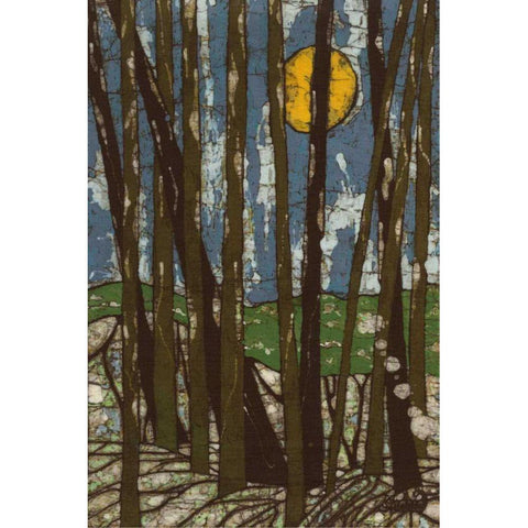 Longwood  White Modern Wood Framed Art Print by Davis, Andrea