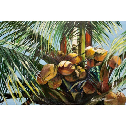 Los Cocos Black Modern Wood Framed Art Print with Double Matting by Wilkins, Suzanne
