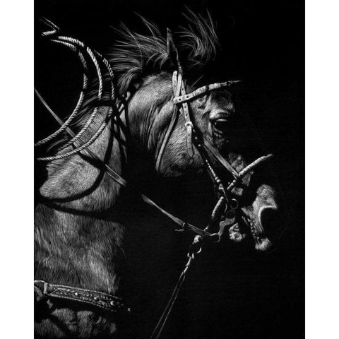 In Pursuit White Modern Wood Framed Art Print by Chapman, Julie T.