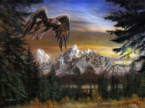 Soaring Eagle White Modern Wood Framed Art Print with Double Matting by Daniel, Kevin