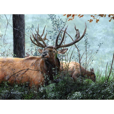 Elk Foraging Black Modern Wood Framed Art Print by Daniel, Kevin
