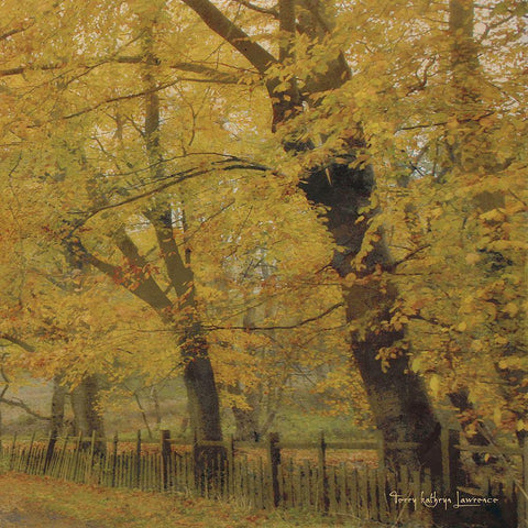 English Countryside II Black Modern Wood Framed Art Print by Lawrence, Terry Katherine