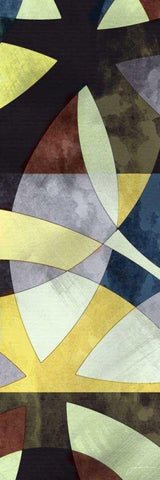 Elliptic Path I Black Ornate Wood Framed Art Print with Double Matting by Burghardt, James