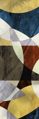 Elliptic Path II Black Ornate Wood Framed Art Print with Double Matting by Burghardt, James