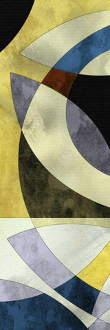 Elliptic Path III Black Ornate Wood Framed Art Print with Double Matting by Burghardt, James