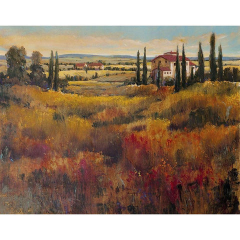 Tuscany I White Modern Wood Framed Art Print by OToole, Tim