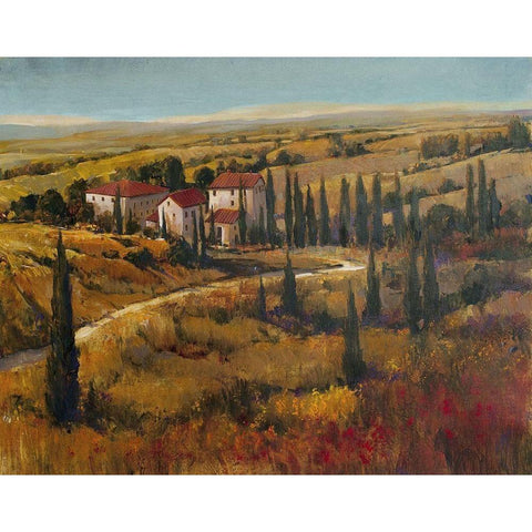 Tuscany II Gold Ornate Wood Framed Art Print with Double Matting by OToole, Tim