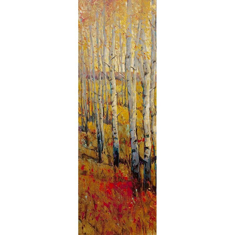 Vivid Birch Forest I White Modern Wood Framed Art Print by OToole, Tim