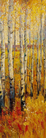 Vivid Birch Forest II Black Ornate Wood Framed Art Print with Double Matting by OToole, Tim