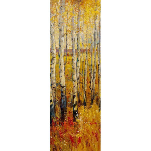 Vivid Birch Forest II Black Modern Wood Framed Art Print with Double Matting by OToole, Tim