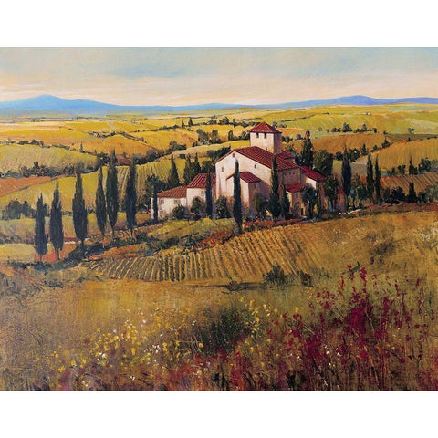 Tuscany III Gold Ornate Wood Framed Art Print with Double Matting by OToole, Tim