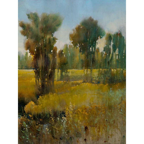 Sunkissed Field II Black Modern Wood Framed Art Print by OToole, Tim