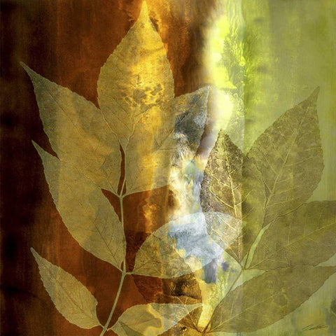 Lush Sunlight Black Modern Wood Framed Art Print by Butler, John