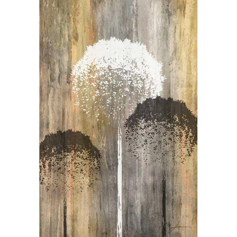 Rustic Garden I Black Modern Wood Framed Art Print by Burghardt, James
