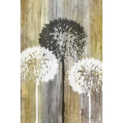 Rustic Garden II Black Modern Wood Framed Art Print by Burghardt, James